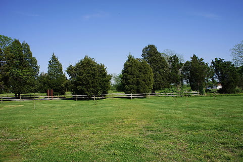 arboles, primavera, paisaje, parque, desierto, natural, salvaje, al aire libre, ambiente, escénico, tierra, naturaleza, hierba, árbol, color verde, nadie, campo, deporte, planta, tranquilidad, escena tranquila, cielo, crecimiento, día, belleza en la naturaleza, paisajes - naturaleza, escena no urbana, campo de juego, 1080P, CC0, dominio público, libre de derechos