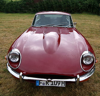 Auto, Jaguar, e-Typ, Vorderseite, rot, Motor-, Kapuze, England, alt, Rennauto, Luxus, teuer, Oldtimer, Scheinwerfer, Seltenheit, Retro-Stil, altmodisch, klassisch, Landfahrzeug, Antiquität, Transport, Chrom, Transportmittel, Kraftfahrzeug, Tag, Feld, Land, Gras, Metall, Pflanze, Vorderansicht, Natur, draußen, keine Leute, silberfarben, 2K, CC0, gemeinfrei, lizenzfrei