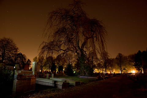 begraafplaats, graven, boom, spookachtig, nacht, grafstenen, griezelig, donker, grafzerken, eng, kalmte, natuur, fabriek, ster - ruimte, hemel, schoonheid in de natuur, rustige scène, scenics - natuur, geen mensen, buitenshuis, bank, grafsteen, verlicht, idyllisch, park, graf, 5K, CC0, publiek domein, royaltyvrij