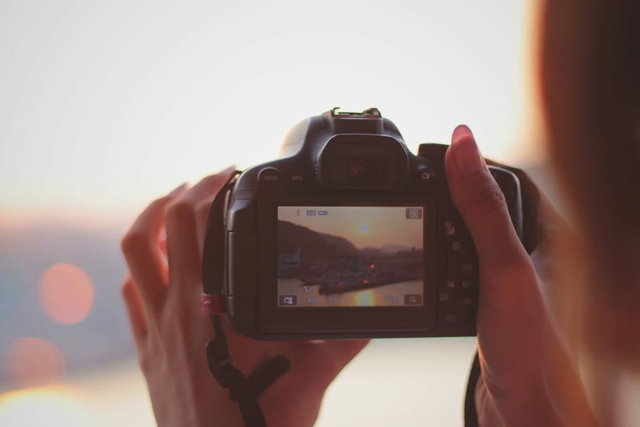 kişi, tutma, alma, Fotoğraf, ada, dslr kamera, kamera - fotoğrafik donanımlar, fotoğrafçı, fotoğraflama, KADIN, fotoğrafçılık temaları, insanlar, bir kişi, dişiler, hobiler, açık havada, yetişkin, genç yetişkin, kablosuz teknoloji, akıllı telefon, teknoloji, taşınabilir bilgi cihazı, kamera, fotoğrafik donanım, insan eli, ekran, aktivite, iletişim, dijital kamera, gerçek insanlar, el, boş zaman etkinliği, kapatmak, modern, 1080P