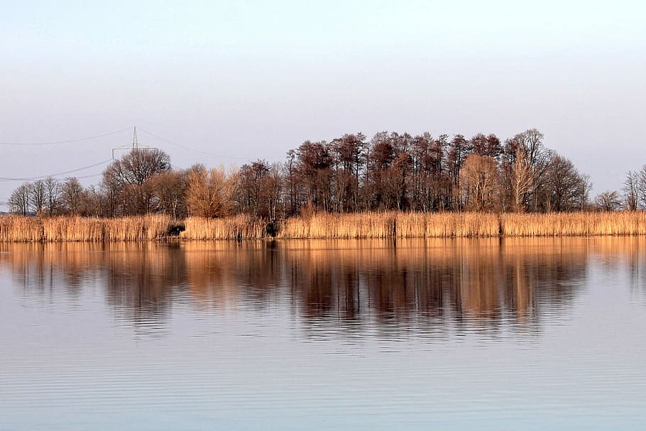 llac, arbres, ombra, paisatge, arbres reflectits, reflexió, naturalesa, aigua, a l'aire lliure, tranquil·litat, arbre, bellesa a la natura, planta, escenics - natura, cel, escena tranquil·la, cap gent, escena no urbana, davant del mar, dia, idíl·lic, arbre de coníferes, 4K