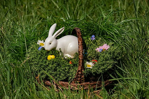 osterkorb, Osterhase, Ostereier, Ostern, Blume, Blumen, Gras, Natur, Pflanze, grüne Farbe, Tierdarstellung, Wachstum, Feld, blühende Pflanze, Darstellung, Tag, keine Leute, Land, Spielzeug, Kunst und Handwerk, draußen, Schönheit in der Natur, Kreativität, Tier, Frühling, 5K, CC0, gemeinfrei, lizenzfrei