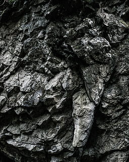 stone, wall, background, stone wall, texture, structure, grey, pattern, concrete, rauh, natural stone, nature, modern, textured, rough, backgrounds, full frame, no people, tree trunk, rock, trunk, close-up, tree, natural pattern, day, rock - object, plant, solid, rock formation, plant bark, toughness, outdoors, bark, textured effect, 4K, CC0, public domain, royalty free