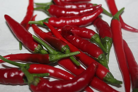Chilli, papryka, czerwony, dekoracyjny, warzywa, warzywo, pieprz, jedzenie i picie, papryczka chili, jedzenie, czerwona papryka chili, przyprawa, świeżość, martwa natura, dobre samopoczucie, zbliżenie, wewnątrz, duża grupa obiektów, zdrowe odżywianie, zielony kolor, żadnych ludzi, składnik, zielona papryka chili, stół, 5K, CC0, domena publiczna, darmowe zdjęcia