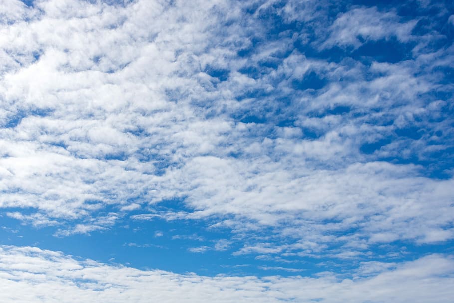 blau, cel, blanc, núvols, blu, núvols de cel blau, cel blau, Cúmulus, núvol - cel, bellesa a la natura, escenics - natura, vista d’angle baix, naturalesa, cloudscape, tranquil·litat, Color blanc, cap gent, fons, dia, escena tranquil·la, a l'aire lliure, medi ambient, meteorologia, idíl·lic, marc complet, brillant, 5K