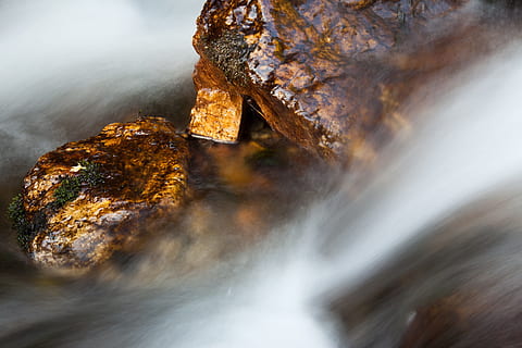abstract, vervagen, vallen, stroom, wazig, vloeiende, Bos, groen, nat, beweging, natuur, rivier-, rots, lopend, glad, steen, water, waterval, geen mensen, detailopname, buitenshuis, dierlijke thema's, dag, schoonheid in de natuur, solide, rock - object, metaal, scenics - natuur, lange blootstelling, wazig beweging, niet-stedelijke scène, land-, bruin, milieu, stromend water, 4K, CC0, publiek domein, royaltyvrij