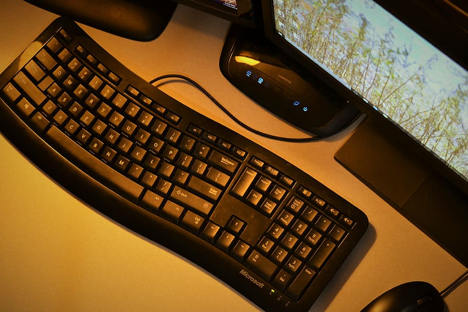 svart, data-tastatur, ved siden av, datamus, skrivebord, datamaskin, følge, viser, grønn, leafed, trær, tastatur, studere, virksomhet, skole, arbeid, bord, kontor, utdanning, teknologi, innendørs, nærbilde, ingen folk, trådløs teknologi, dag, data utstyr, kommunikasjon, forbindelse, høy vinkel visning, møbler, stasjonær PC, dataskjerm, 4K