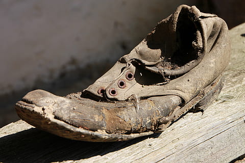 deteriora, murdar, vechi, ruginit, pantofi, îmbrăcăminte, animal, un animal, animale tematice, lemn - material, animale vertebrate, nici o persoana, animale în sălbăticie, târâtoare, animale sălbatice, a închide, natură, zi, partea corpului animalului, să se concentreze asupra primelor elemente, lumina soarelui, în aer liber, grădină zoologică, zoologie, cap de animal, şopârlă, 4K, CC0, domeniu public, fără drepturi de autor
