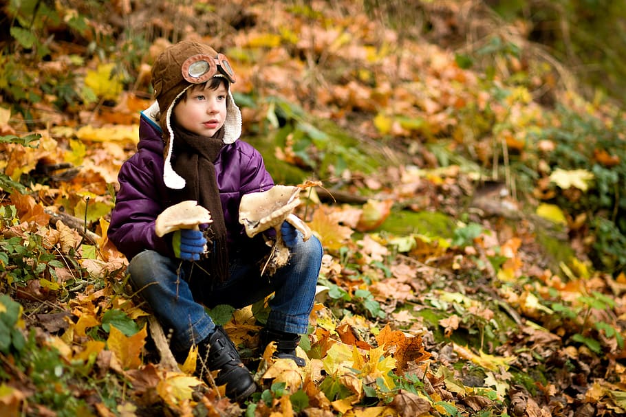 băiat, ședință, sol, acoperit, frunze, toamnă, capac, sacou, bebelus, parc, fotografierea copiilor, pădure, lungime totală, copil, parte a plantelor, copilărie, o persoana, teren, natură, Schimbare, vedere din față, nevinovăţie, îmbrăcăminte, drăguţ, fete, descendenți, haine casual, haine calde, în aer liber, 5K