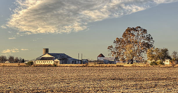 graner, rústic, graners, ohio, art digital, rural, escènic, país, camp, paisatge, cobert, coberts, granja, granges, agricultura, agrícola, Masia, campanar, comtat, americana, foto, fotografia, estructura, estructures, sturgell, William Sturgell, factura sturgell, històric, decoració de la llar, edificis, núvols, cel, arbre, arbres, ennuvolat, cels, males herbes, comtat del campanar, urbana, arquitectura, estructura construïda, núvol - cel, planta, terra, exterior de l'edifici, naturalesa, casa, edifici, cap gent, medi ambient, escena rural, edifici agrícola, dia, a l'aire lliure, 4K, CC0, domini públic, lliure de regalies