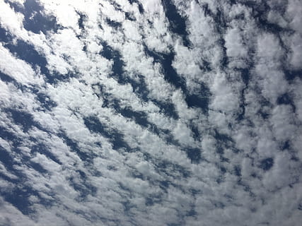 nuvole, cielo, nuvole di cielo, nuvole di cielo blu, natura, orizzonte, cielo blu, offuscato, nuvola - cielo, Inquadratura dal basso, bellezza nella natura, sfondi, scenics - natura, fotogramma intero, giorno, la tranquillità, nessuno, Colore bianco, all'aperto, scena tranquilla, blu, idilliaco, Cloudscape, modello, Paradiso, meteorologia, 4K, CC0, dominio pubblico, privo di copyright