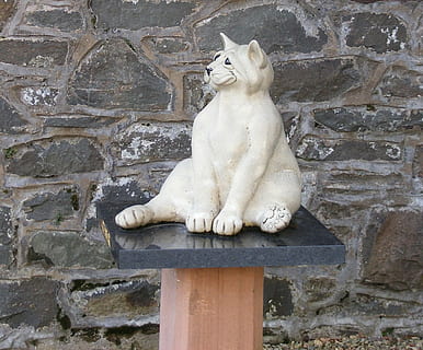 kat, statue, sten-, væg, figur, dyre temaer, dyr, pattedyr, et dyr, murbygningsfunktion, hvirveldyr, ingen mennesker, husdyr, indenlandske kat, feline, kæledyr, indenlandske, dag, lempelse, arkitektur, sidder, leder, bygget struktur, Stenmur, 720P, CC0, offentligt domæne, royaltyfrie