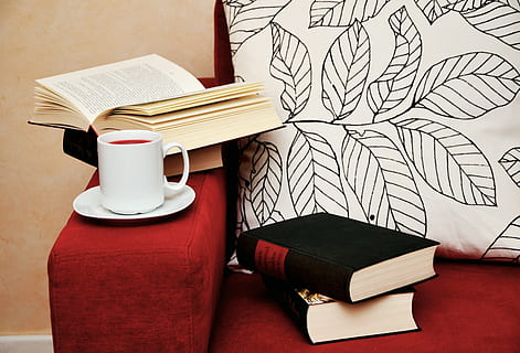 bianca, ceramica, boccale, piattino, rosso, divano in tessuto, Due, nero, libri, leggere, studia, divano, tazza, navigare, comodità, libro, formazione scolastica, apprendimento, letteratura, tavolo, pubblicazione, in casa, carta, posto a sedere, nessuno, mobilia, natura morta, saggezza, pila, pagina, sedia, legno - materiale, tazza di caffè, avvicinamento, assenza, tavolino da caffè, 4K, CC0, dominio pubblico, privo di copyright