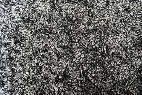 carpet, texture, gray, background, structure, textile, backgrounds, pattern, abstract, full frame, no people, textured, plant, abundance, growth, nature, day, close-up, outdoors, directly above, tranquility, high angle view, land, field, beauty in nature, wrinkled, coniferous tree, 5K, CC0, public domain, royalty free
