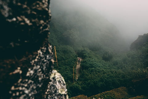 persona, in piedi, alberi, nebbia sulla montagna, viaggiatore, escursionista, amazon, sentiero, albero, nebbia, pianta, scenics - natura, montagna, la tranquillità, natura, bellezza nella natura, terra, ambiente, foresta, scena tranquilla, giorno, nessuno, paesaggio, all'aperto, scena non urbana, fogliame lussureggiante, crescita, foresta pluviale, 1080P, CC0, dominio pubblico, privo di copyright