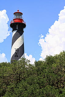 St Augustine, majakka, Florida, st Augustine, majakka, pilvi - taivas, taivas, torni, rakennuksen ulkoa, arkkitehtuuri, opastus, rakennettu rakenne, kasvi, turvallisuus, suojaus, rakennus, luonto, puu, matala kulma, suunta, päivä, ei ihmisiä, kasvu, ulkona, 5K, CC0, public domain, rojaltivapaa