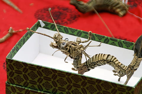 dragões, funileiro, presente, animal, inseto, visão de alto ângulo, ninguém, vermelho, temas animais, criatividade, fechar-se, representação, dentro de casa, arte e Artesanato, representação animal, focar em primeiro plano, animais selvagens, um animal, ainda vida, réptil, dia, padronizar, foco seletivo, 2K, CC0, domínio público, royalty free