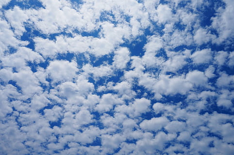 himmel, Sky, solrig, skumfidus, overskyet, candyfloss, blå, natur, vejr, luft, sky - himmel, dag, baggrunde, udendørs, cumulus sky, cloudscape, hvid, klima, sommer, plads, fluffy, meteorologi, stratosfæren, scenics, fuld ramme, hvid farve, skønhed i naturen, lav vinkel visning, ingen mennesker, ro, scenics - natur, rolig scene, idyllisk, miljø, 4K, CC0, offentligt domæne, royaltyfrie