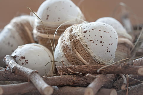 selectiu, focalitzar la fotografia, ous de pollastre, ou, ous de Pasqua, deco, dekoeier, niu, Pasqua, decoració, materials naturals, tancar, menjar, material de fusta, orgànic, cap gent, primer pla, menjar i beguda, enfocament selectiu, grup d'objectes, natura morta, ous d’animals, Color blanc, naturalesa, centrar-se en primer pla, shell, a l'aire lliure, planta, dia, alimentació saludable, grup, 1080P, CC0, domini públic, lliure de regalies
