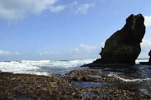 strand, natuur, Java, zee, rots, golven, kust, water, hemel, rock - object, solide, land-, schoonheid in de natuur, scenics - natuur, rotsformatie, wolk - lucht, kalmte, dag, rustige scène, Golf, geen mensen, beweging, horizon over water, buitenshuis, stapel rock, uitgehold, 4K, CC0, publiek domein, royaltyvrij