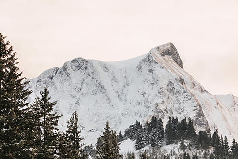 montagna, freddo, la neve, inverno, innevato, invernale, eiskristalle, bianca, congelato, cespuglio, nevicata, rami, diversi modi, picco di montagna, Svizzera, Berna, Gurnigel, albero, cielo, pianta, bellezza nella natura, temperatura fredda, natura, scenics - natura, la tranquillità, scena tranquilla, Inquadratura dal basso, scena non urbana, nessuno, ambiente, montagna innevata, giorno, all'aperto, albero di conifere, Pino, abete, bosco di pini, 5K, CC0, dominio pubblico, privo di copyright