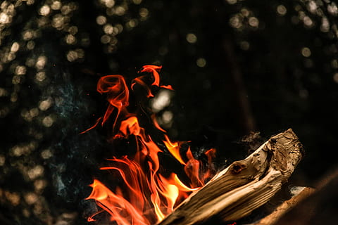 close, photograph, bonfire, bonfire during nighttime, burning, campfire, wood, flame, orange, fire - natural phenomenon, fire, heat - temperature, nature, wood - material, no people, close-up, outdoors, tree, orange color, day, log, motion, forest, dark, animal, leaf, plant part, 8K, CC0, public domain, royalty free