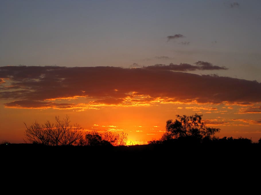 solnedgang, orange, lyse, glød, skyer, forgyldt kant, solen forsvinder, horisont, himmel, silhuet, skønhed i naturen, scenics - natur, træ, rolig scene, ro, orange farve, sky - himmel, plante, natur, miljø, ikke-urbane scene, ingen mennesker, landskab, idyllisk, jord, udendørs, kopiere plads, 2K