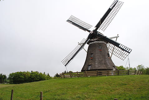 molí, Ameland, vent, energia eòlica, energia alternativa, aerogenerador, molí de vent, conservació del medi ambient, energia renovable, turbina, medi ambient, generació de combustible i energia, molí de vent tradicional, planta, camp, paisatge, herba, cel, naturalesa, escena rural, terra, dia, arbre, estructura construïda, fulla, cap gent, a l'aire lliure, 4K, CC0, domini públic, lliure de regalies