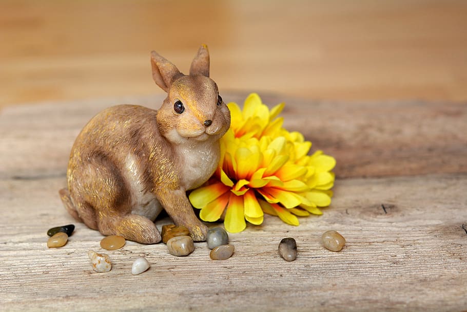 llebre, conill de Pasqua, flor, dekohase, groc, dekoblume, pedres, fusta, deco, decoratiu, decoració, primavera, Pasqua, un animal, temes d'animals, animals domèstics, bonic, longitud completa, animal, mamífer, conill - animal, cap gent, material de fusta, primer pla, centrar-se en primer pla, a l'interior, menjar, animal jove, celebració, planta, planta amb flors, 5K