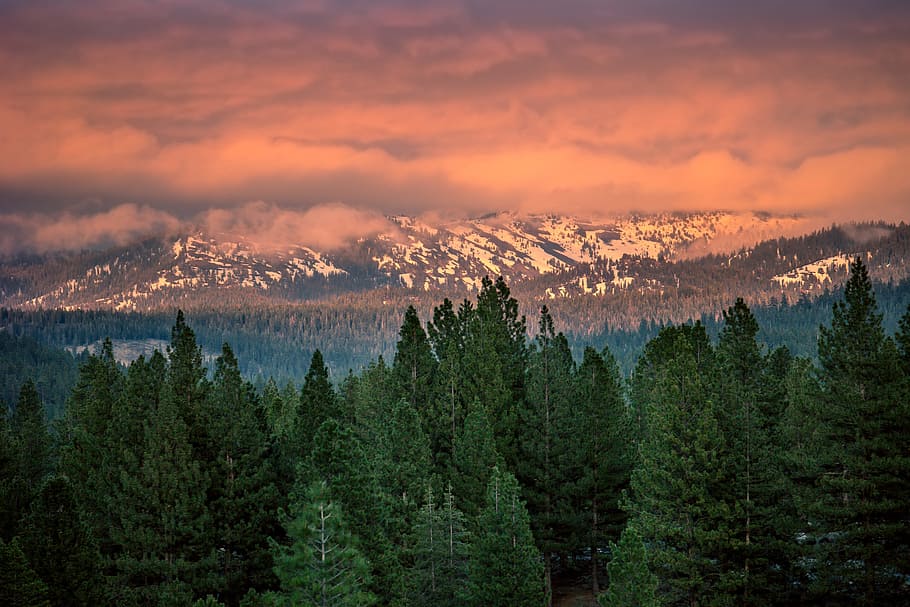 pins verds, núvols, colors, conífera, bosc, paisatge, muntanyes, fotografia de natura, a l'aire lliure, pins, cel, neu, sortida del sol, posta de sol, arbres, fotografia gran angular, hivern, boscos, arbre, escenics - natura, muntanya, bellesa a la natura, planta, núvol - cel, escena tranquil·la, terra, medi ambient, tranquil·litat, naturalesa, pi, cap gent, arbre de coníferes, escena no urbana, sol, bosc de pi, 5K