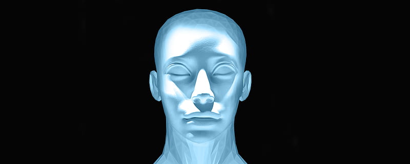 human face diagram, head, face, portrait, statue, mask, sculpture, display dummy, human head, technology, human body part, body part, futuristic, black background, human representation, creativity, three dimensional, people, human face, cyborg, intelligence, robot, science, lighting equipment, glowing, copy space, adult, mystery, contemplation, dark, 8K, CC0, public domain, royalty free
