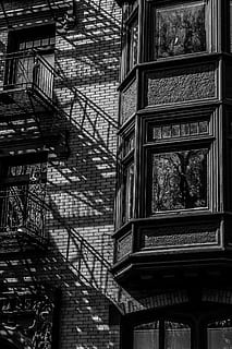 pilkos spalvos nuotrauka, pastatas, gyvenamasis, architektūra, žingsnius, plytos, sienos, langai, medis, atspindys, stiklas, šešėlis, turėklai, kelionė, oregonas, pdx, pastatyta struktūra, pastato išorė, žemas kampo vaizdas, nėra žmonių, dieną, langas, miestas, lauke, pobūdį, augalų, sienų kūrimo funkcija, laiptinė, stiklas - medžiaga, gyvenamasis rajonas, architektūros bruožas, 2K, CC0, Viešasis domenas, nemokamai