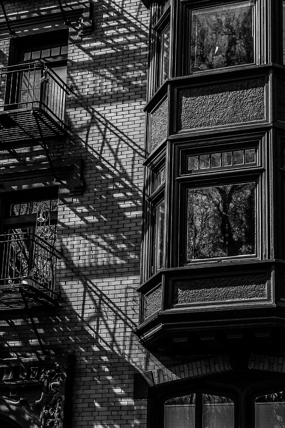 fotografia en escala de grisos, edifici, residencial, arquitectura, passos, maons, paret, finestres, arbre, reflexió, vidre, ombra, barana, baranes, viatjar, oregon, pdx, estructura construïda, exterior de l'edifici, vista d’angle baix, cap gent, dia, finestra, ciutat, a l'aire lliure, naturalesa, planta, funció de construcció de parets, escala, vidre - material, barri residencial, característica arquitectònica, 2K