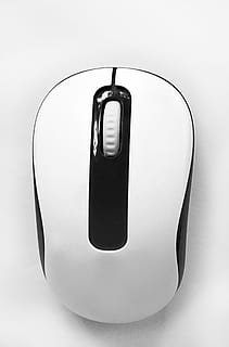 mouse wireless bianco, topo, senza fili, tecnologia, elettronica, pc, computer, dispositivo, attrezzatura, ottico, design, hardware, informatica, singolo oggetto, sfondo bianco, girato in studio, nessuno, avvicinamento, giorno, comunicazione, in casa, ritagliare, sicurezza, attrezzatura informatica, tecnologia wireless, semplicità, protezione, rischio, cibo, cibo e bevande, mouse del computer, segnale di pericolo, accessorio personale, 2K, CC0, dominio pubblico, privo di copyright