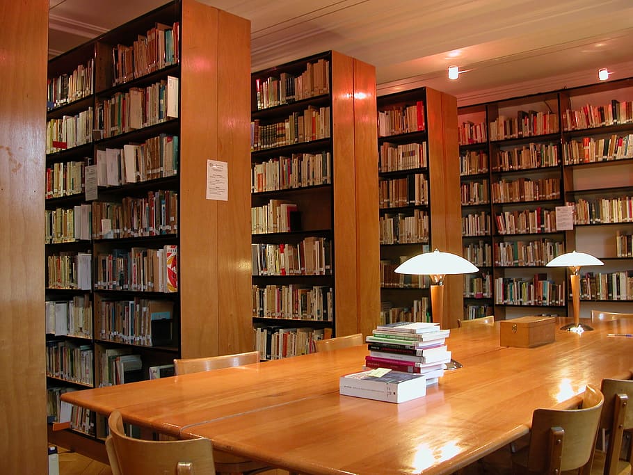 biblioteca, libri, lettura, studia, studiare, leggere, cultura, mensola, pubblicazione, libro, scaffale, formazione scolastica, tavolo, mobilia, grande gruppo di oggetti, apprendimento, in casa, letteratura, interno di casa, studiando, persone, abbondanza, stanza domestica, sedia, posto a sedere, pavimentazione, scala, ufficio a casa, lampada elettrica, 2K