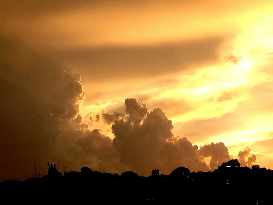 Sonnenuntergang, Florida, Himmel, Landschaft, Sonnenuntergang, Florida, Himmel, Landschaft, Silhouette, Dramatischer Himmel, wolke - himmel, Natur, Schönheit in der Natur, Szenen - Natur, orange Farbe, ruhige Szene, Ruhe, Baum, idyllisch, keine Leute, Nicht-städtische Szene, Umgebung, Pflanze, draußen, 2K