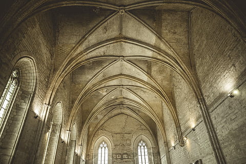 cuc, fotografia de vista visual, catedral, baix, fotografia d'angle, edifici, arquitectura, sostre, arc, finestra, lloc de culte, religió, espiritualitat, creença, estructura construïda, a l'interior, el passat, cap gent, història, vista d’angle baix, columna arquitectònica, estil gòtic, abadia, arquitectura i art, arquejat, ornamentat, 5K, CC0, domini públic, lliure de regalies