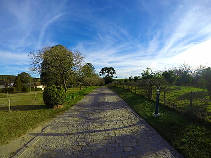 carretera, camp, Camí, interior, naturalesa, cel blau, paisatge, lloc, passeig, herba, pau, tarda, tranquil·litat, campestre, vacances, natural, cel, arbre, escena rural, núvol - cel, agricultura, planta, direcció, el camí a seguir, sendera, perspectiva decreixent, cap gent, bellesa a la natura, escena tranquil·la, dia, creixement, escenics - natura, llum solar, a l'aire lliure, treelined, llarg, 4K, CC0, domini públic, lliure de regalies