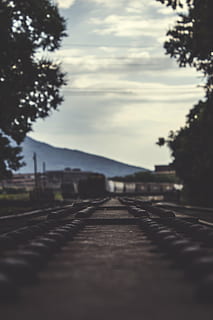 infrastruktura, venku, perspektivní, kolejnice, železnice, dráha, vlak, železniční koleje, přeprava, nebe, železniční dopravy, železniční trať, strom, rostlina, cesta vpřed, směr, nikdo, Příroda, mrak - nebe, perspektiva, den, selektivní zaměření, způsob dopravy, kov, klidné scény, bod zmizení, povrchu, dlouho, 5K, CC0, veřejná doména, bez autorských práv