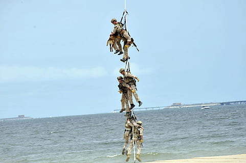 Virginia, Strand, Himmel, Wolken, Männer, Hund, Seil, hängend, Kabel, Meer, Ozean, Wasser, Natur, draußen, Linie, zusammen, Heer, Militär-, Ausbildung, Tag, keine Leute, Land, Schönheit in der Natur, Horizont über Wasser, Ruhe, Holz - Material, Nahansicht, Szenen - Natur, Tier, Fischereiindustrie, 2K, CC0, gemeinfrei, lizenzfrei