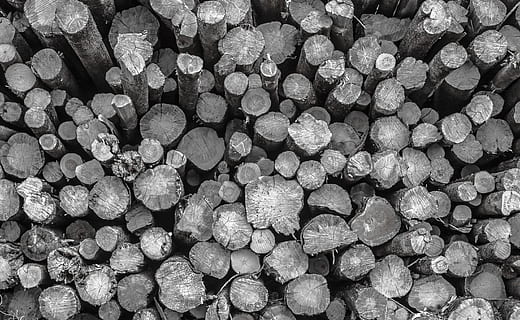 gri tonlamalı fotoğrafçılık, günlükleri, günlüğü, ormancılık, sanayi, kesmek, ahşap, kereste, istif, yığın, yığılmış, yakacak odun, odun yığını, testereyle, çam, gövde, malzeme, bütün çerçeve, arka, bolluk, büyük nesne grubu, kütük, insansız, kereste endüstrisi, ahşap malzeme, orman, doğa, dokulu, ağaç, gün, Desen, orman açma, açık havada, 2K, CC0, kamu malı, telif ücretsiz