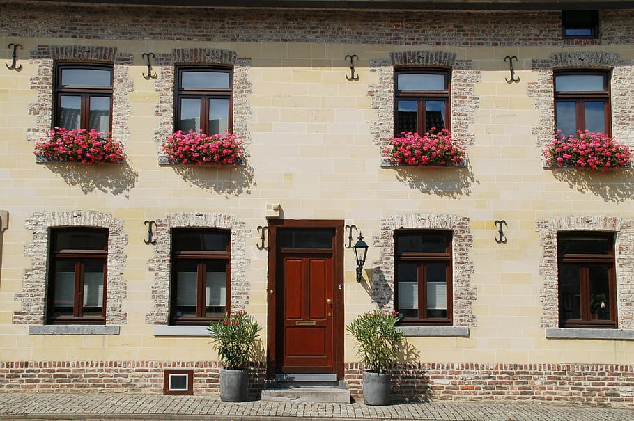 architettura, Casa, finestra, facciata, fioriere, esterno dell'edificio, struttura costruita, costruzione, quartiere residenziale, Entrata, porta, giorno, nessuno, pianta, all'aperto, luce del sole, natura, città, chiuso, vecchio, pianta fiorita, 2K