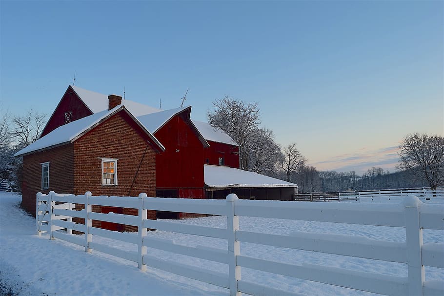 braun, Weiß, Haus, Hinterhof, Scheune, Winter, Schnee, kalt, gefroren, Frost, Zuhause, Morgen, Dämmerung, Jahreszeit, Blau, rote Scheune, ländlich, Landschaft, Zaun, hölzern, frühes Licht, Wetter, gebaute Struktur, Gebäudehülle, kalte Temperatur, die Architektur, Himmel, Gebäude, Natur, keine Leute, klarer Himmel, Szenen - Natur, Schönheit in der Natur, Tag, Grenze, Barriere, draußen, Hütte, 4K