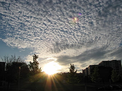 cirrocumulus, cirrus, debesys, saulėlydis, cirrus, debesys, dangus, siluetas, debesis - dangus, saulė, objektyvo atspindys, saulės šviesa, medis, augalų, pobūdį, nėra žmonių, grožis gamtoje, architektūra, pastatyta struktūra, pastato išorė, ramybė, ramioje scenoje, vaizdai - gamta, lauke, šviesus, 1080P, CC0, Viešasis domenas, nemokamai