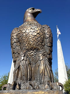 Weißkopfseeadler, Bronze-, Freiheit, Adler, dom, Vereinigte Staaten, Patriotismus, amerikanisch, patriotisch, majestätisch, Flagge, National, Nationalvogel, Statue, Skulptur, Religion, Geschichte, Spiritualität, keine Leute, Darstellung, Kunst und Handwerk, menschliche Darstellung, Himmel, männliche Ähnlichkeit, Kreativität, die Architektur, klarer Himmel, Flachwinkelansicht, Reiseziele, Kunst, Reise, Tourismus, Natur, Glauben, Tag, 2K, CC0, gemeinfrei, lizenzfrei
