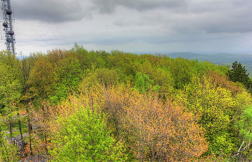 închide, copaci, a închide, rib munte parc de stat, wisconsin, nori, pădure, peisaj, natură, copac, în aer liber, cer, scenics, toamnă, nor - cer, zi, o scenă liniștită, plantă, frumusețe în natură, liniște, scenice - natura, teren, nici o persoana, mediu inconjurator, creştere, scenă non-urbană, Culoarea verde, Schimbare, pini de pădure, conifer, 2K, CC0, domeniu public, fără drepturi de autor