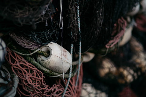 untitled, rope, net, tissue, roll, tie, tissue roll, fishing Industry, commercial Fishing Net, close-up, no people, hanging, focus on foreground, day, fishing, outdoors, selective focus, art and craft, market, full frame, animal body part, 5K, CC0, public domain, royalty free