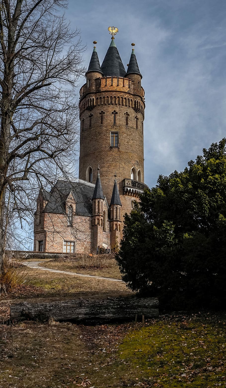 arquitectura, torre, vell, castell, Potsdam, arbre, exterior de l'edifici, estructura construïda, cel, planta, edifici, naturalesa, història, el passat, lloc de culte, cap gent, destinacions de viatge, religió, dia, vista d’angle baix, arbre nu, a l'aire lliure, fletxa, 4K