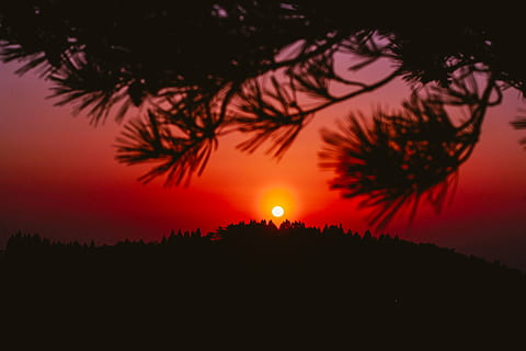 cu iluminare din spate, întuneric, dramatic, amurg, idilic, frunze, natură, pitoresc, siluetă, cer, soare, apus de soare, copac, culoare portocalie, noapte, plantă, scenice - natura, frumusețe în natură, liniște, o scenă liniștită, nici o persoana, în aer liber, dramatic cer, mediu inconjurator, peisaj, teren, cerul romantic, 2K, CC0, domeniu public, fără drepturi de autor