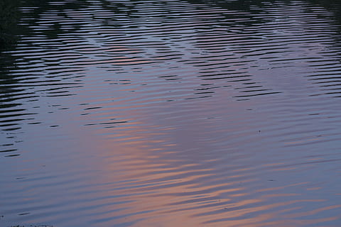 riu, posta de sol, aigua, reflexió, marc complet, llac, ondulat, cap gent, fons, tranquil·litat, naturalesa, bellesa a la natura, davant del mar, patró, dia, a l'aire lliure, cel, vista d’angle alt, escena tranquil·la, 5K, CC0, domini públic, lliure de regalies